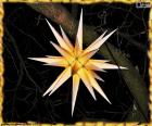 Una bonita estrella de Moravia para decorar y iluminar la Navidad