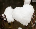 Corazón de nieve