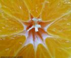 Mandarina por dentro
