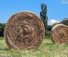 Dos grandes balas de paja redondas en el campo en un día soleado