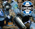El Grêmio Foot-Ball Porto Alegrense de Brasil es el campeón de la Copa Libertadores 2017. El tercer título 1983, 1995 y 2017