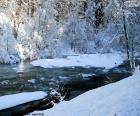 Río en invierno