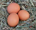 Tres huevos para ser decorados para Pascua