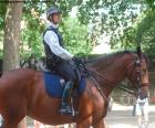 Policía de Londres a caballo