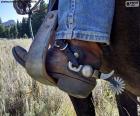 Bota de Cowboy