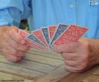 Jugando a las cartas