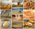 Bonito collage donde vemos todo el proceso necesario para elaborar el pan