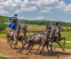 Puszta-ötös es una famosa atracción turística en Hortobágy, Hungría. Un jinete de caballos monta sobre dos caballos y conduce otros tres caballos.