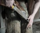 El herrador es la persona encargada de herrar los caballos, mulas y burros