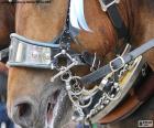 Brida de caballo
