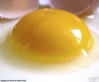 Yema de huevo