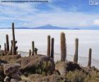 El salar de Uyuni es el mayor desierto de sal del mundo situado a 3650 metros sobre el nivel del mar, con una superficie de 10582 km², Bolivia