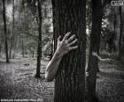 El bosque del horror