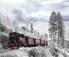Tren invernal