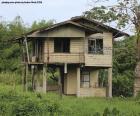 Vieja casa en el bosque