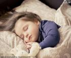 Dulce niña durmiendo junto a su osito