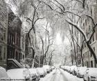 Calle cubierta de nieve