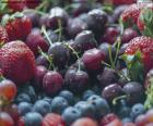 Frutas del bosque