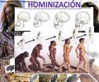 Proceso de hominización