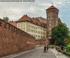 Castillo de Wawel, Polonia