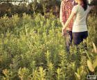Pareja en el campo