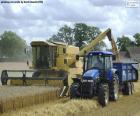Cosechadora-trilladora trabajando en el campo de cereales y descargando el grano en un tractor 