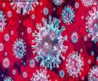 La COVID-19 es la enfermedad infecciosa causada por el coronavirus que se ha descubierto más recientemente. Tanto el nuevo virus como la enfermedad eran desconocidos antes de que estallara el brote en Wuhan (China) en diciembre de 2019