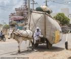 Carro tirado por un buey