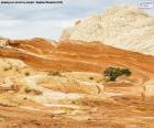 Bonito paisaje de un rincón del impresionante parque de Red Rock, una gran reserva natural situada en Arizona, USA