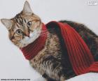 Un gato con una bufanda roja para celebrar la Navidad