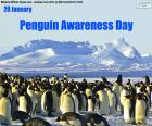 20 de enero Día de Concienciación por los Pingüinos, este día se instauró para crear y aumentar la conciencia sobre la preservación de esta especie animal