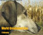 Día Mundial del Galgo