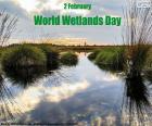 El Día Mundial de los Humedales se celebra el 2 de febrero, para poner en relieve la  importancia que tienen los humedales para la biodiversidad de la Tierra
