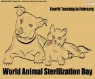 Día Mundial de la Esterilización Animal
