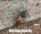 Día Mundial de la Enfermedad de Chagas