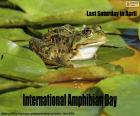 Día Internacional para la Conservación de los Anfibios