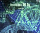 Día Internacional del ADN