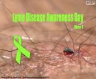 El 1 de mayo es el Día Mundial de la enfermedad de Lyme, una infección bacteriana transmitida por la garrapata