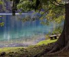 Bonita imagen de un lago un lugar ideal donde poder meditar y pensar