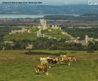 El castillo de Corfe es un castillo medieval en ruinas, situado en el condado de Dorset, Inglaterra