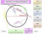 Partes de la circunferencia