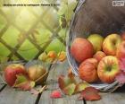 Manzanas en Otoño