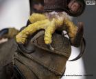 Las poderosas garras de una águila real