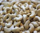 El anacardo es considerado un fruto seco, pero en realidad es la semilla de los árboles de la especie Anacardium occidentale  