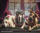 Tres grandes perros Navideños