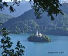 El lago de Bled, es uno de los lagos más bellos y turísticos de Eslovenia. El lago rodea la Isla de Bled, con una iglesia, construida en el siglo XV.