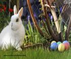 Conejo blanco y huevos de Pascua