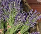 Un cesto lleno de bonitos y aromáticos ramos de lavanda