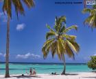 Sumérgete en la serenidad de esta playa paradisíaca con palmeras balanceándose suavemente y aguas cristalinas que te invitan a soñar.

Cada pieza de este puzzle te transportará a un rincón de paz y belleza natural, donde el sol acaricia la arena dorada y el mar azul turquesa te envuelve con su calma infinita.

Despierta tus sentidos y vive la experiencia de completar este escenario de ensueño, una obra de arte que te hará sentir como si estuvieras de vacaciones en un paraíso tropical.