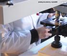 Cientifico con un microscopio en el laboratorio